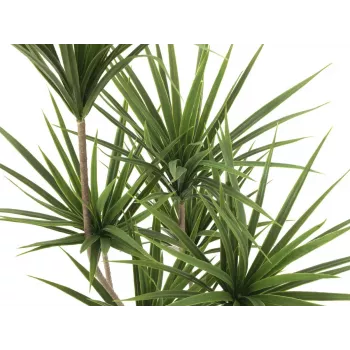 EUROPALMS mākslīgā jukas palma, 130cm 82511552