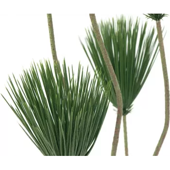 EUROPALMS Papyrus mākslīgais augs, 130 cm 82600235