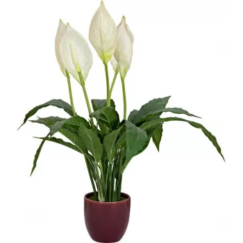 Mākslīgā miera lilija EUROPALMS, 60 cm 82505660