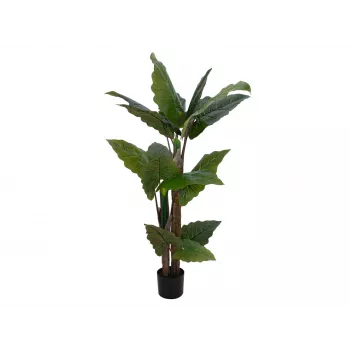 EUROPALMS Alocasia mākslīgais augs, 140cm, zaļš, melns pods 82508464