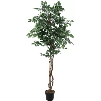 EUROPALMS Silberficus Benjamina mākslīgais augs, 180 cm 82506116