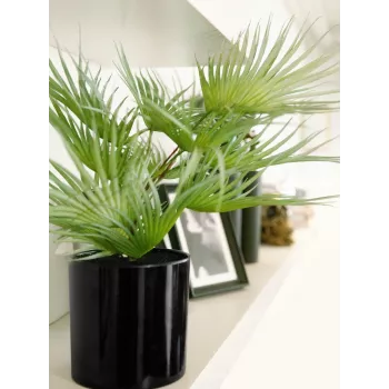 EUROPALMS mākslīgā vēdekļpalma podā, 55 cm 82509401