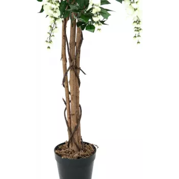 EUROPALMS Golden Rain Tree mākslīgais augs, balts, 150cm (82507105)
