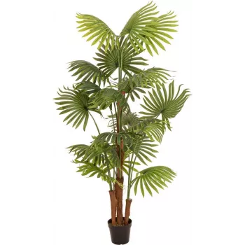 EUROPALMS mākslīgā vēdekļpalma, 165 cm 82509305