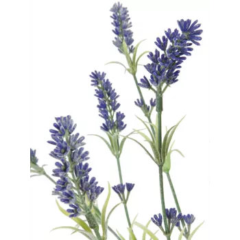 EUROPALMS Lavanda krūms, mākslīgs, 61cm 82600231