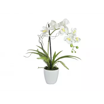 EUROPALMS mākslīgā orhideju kompozīcija 1, podā, balta-rozā, 60 cm 82530346