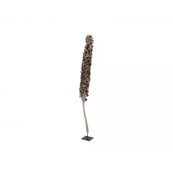 EUROPALMS Cacho Coco mākslīgā kokospalma, 120-190 cm, īsts koka stumbrs, 12 lapas, iekštelpu 83502349