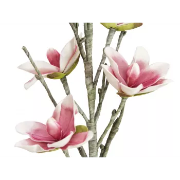 EUROPALMS mākslīgais magnolijas zars (EVA), balts-rozā 82530587