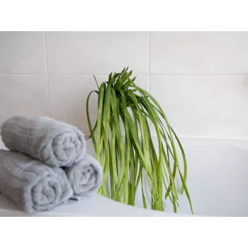 Mākslīgā jūraszāle EUROPALMS (EVA), zaļa 82531062