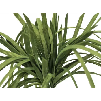 Mākslīgā jūraszāle EUROPALMS (EVA), zaļa 82531062