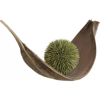 EUROPALMS Succulent Ball (EVA), mākslīgais augs, zaļš, 20cm 82531071