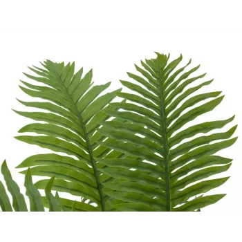 EUROPALMS Cycas Palm mākslīgais augs, 70 cm 82509604