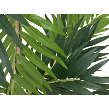 EUROPALMS mākslīgais palmu augs Parlour Palm, 150cm 82509495
