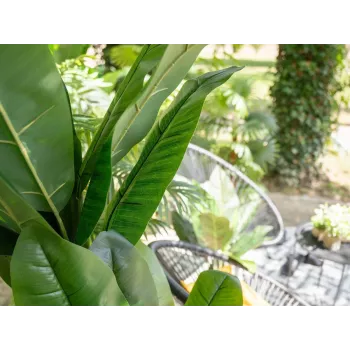 Mākslīgais banānu koks EUROPALMS, 210 cm 82509507