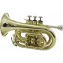 DIMAVERY TP-300 Bb kabatas trompete, zelta laka 26503720