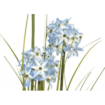EUROPALMS Allium Grass mākslīgais augs, zils, 120 cm 82600168