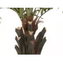 EUROPALMS Kentia Palm Deluxe mākslīgais augs 300cm 82511370