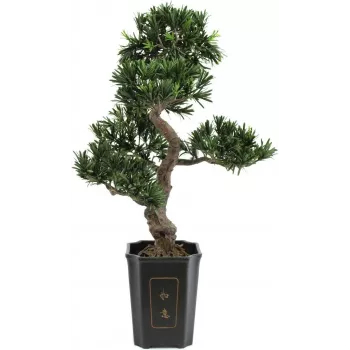 EUROPALMS Bonsai Podocarpus mākslīgais augs, 80cm 82600116