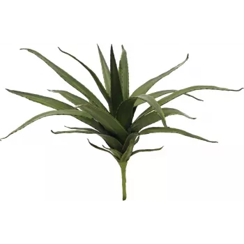 EUROPALMS Aloe (EVA), mākslīgā, zaļa, 50cm (82530570)