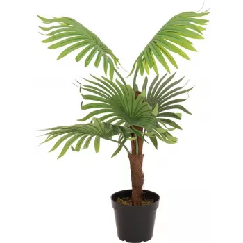 EUROPALMS Fan Palm mākslīgais augs, 88cm, zaļš, melns pods 82509301