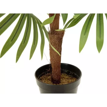 EUROPALMS Fan Palm mākslīgais augs, 88cm, zaļš, melns pods 82509301