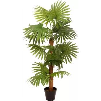 EUROPALMS mākslīgais vēdekļpalmas augs 130cm 82509302