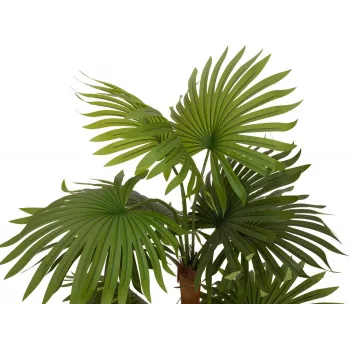 EUROPALMS mākslīgais vēdekļpalmas augs 130cm 82509302