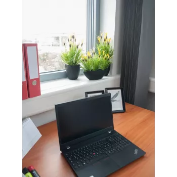 EUROPALMS mākslīgais pļavas salātu augs, 40cm 82505639