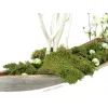 EUROPALMS dekoratīvās bumbiņas 3,5 cm, gaiši zaļas, spīdīgas, 48 gabali 8350129X