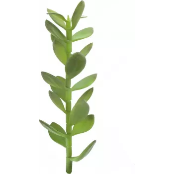 EUROPALMS Money Tree Sprout mākslīgais augs, 30cm 82809010