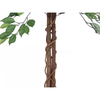EUROPALMS Ficus Benjamina daudzstumbru mākslīgais augs, 150cm 82506125
