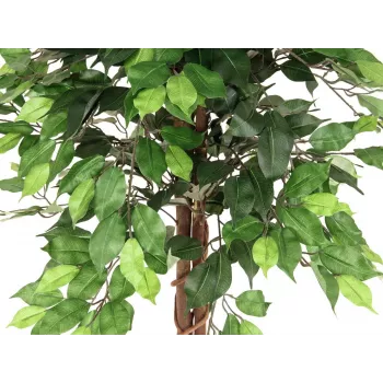 EUROPALMS Ficus Benjamina daudzstumbru mākslīgais augs, 150cm 82506125