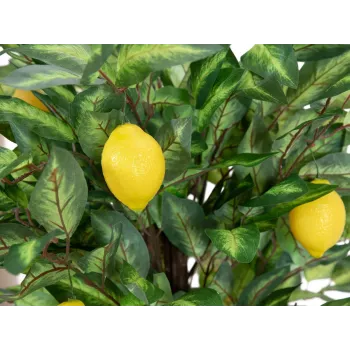 EUROPALMS mākslīgais citronkoks, 150cm 82507815