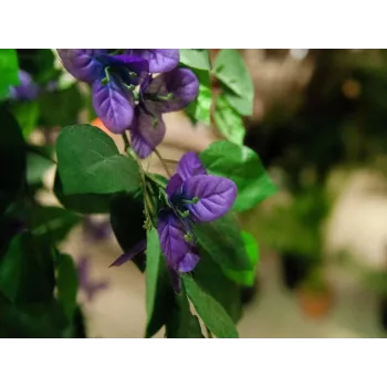 EUROPALMS Bougainvillea Lavender mākslīgais augs 180cm 82507036