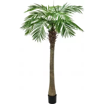 EUROPALMS Phoenix Palm Luxor mākslīgais augs, 300cm 82510723