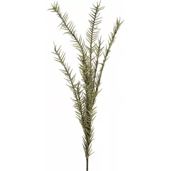EUROPALMS mākslīgais rozmarīna zars (EVA), zaļš 82531064
