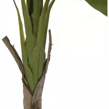 EUROPALMS Banānu koks mākslīgais augs, 145cm 82509504