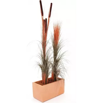 EUROPALMS mākslīgā niedru zāle, gaiši brūna, 127 cm 82505852
