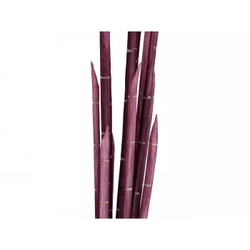 EUROPALMS Magic Onion Grass mākslīgais augs, rozā, 134 cm 82532003