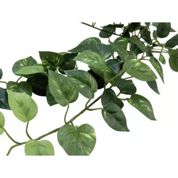 EUROPALMS Pothos Bush Fence Classic, mākslīgs, 70cm (82502201)