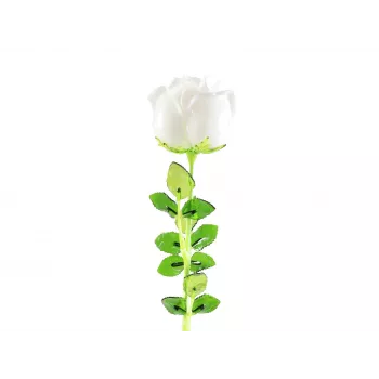 EUROPALMS Crystal Rose mākslīgais zieds, balts, 81 cm, 12 gab. 82600208
