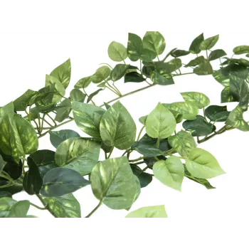 EUROPALMS Pothos Garland Classic, mākslīgs, 180cm 82503728