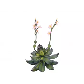 EUROPALMS Stone Rose (EVA) mākslīgais augs, rozā, 32cm 82530572