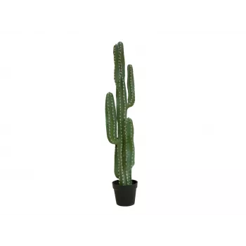 EUROPALMS mākslīgais Meksikas kaktuss, zaļš, 123cm 82801072