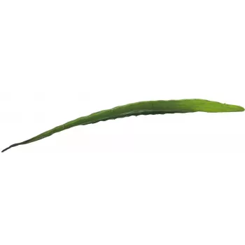 EUROPALMS mākslīgā alvejas lapa (EVA), zaļa, 60cm 82530581