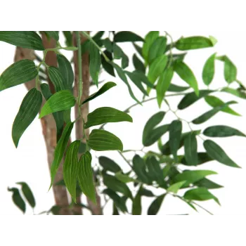 EUROPALMS Ficus Longifolia mākslīgais augs, 165cm 82506350