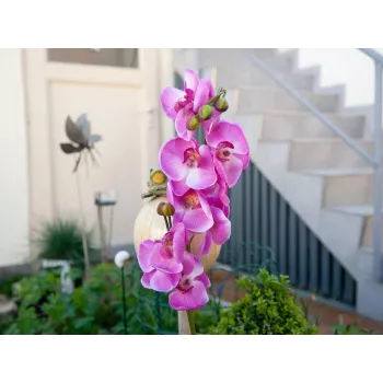 EUROPALMS mākslīgais orhidejas zars, violets, 100 cm 82530322