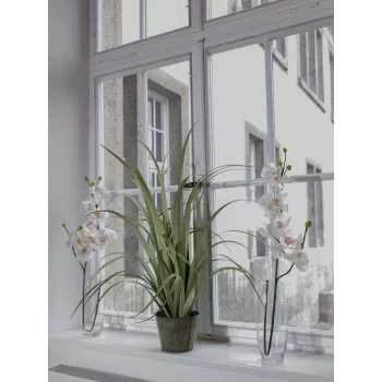 EUROPALMS mākslīgais orhidejas zars, krēmbalts, 100 cm (82530323)