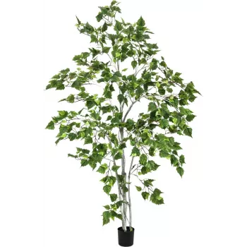 EUROPALMS mākslīgais bērzs 180cm 82505231