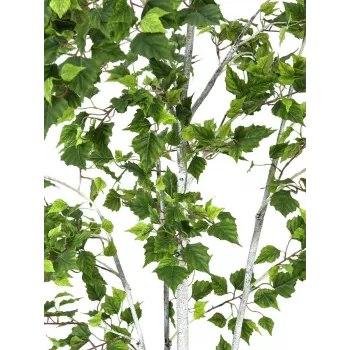 EUROPALMS mākslīgais bērzs 180cm 82505231